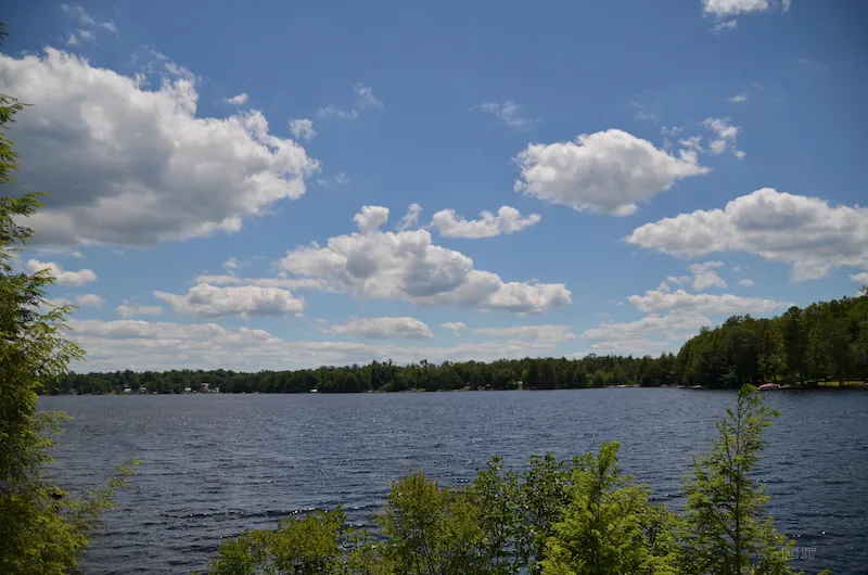 A summer view across the wide portion of Pleasant Lake with some foliage in the foreground and thr far shore and treeline in the background